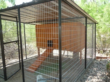 The Homesteader